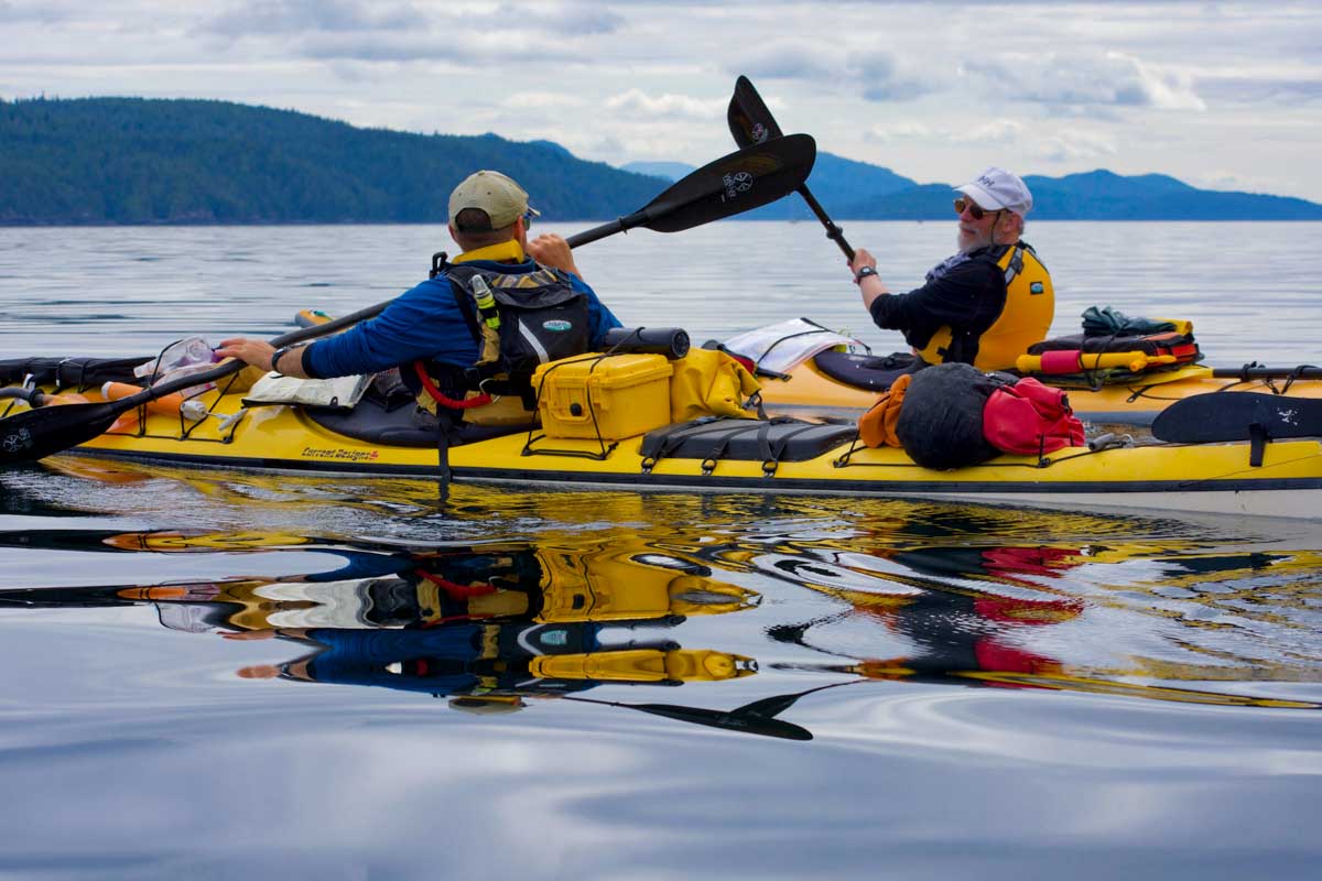 What Kind of Kayak Paddle Do I Need? Whitewater, Recreational, and Sea